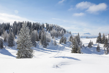 Winter Landscape At Mt. Dobratsch