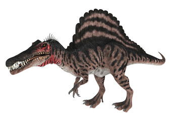 Fototapeta premium Dinosaur Spinosaurus