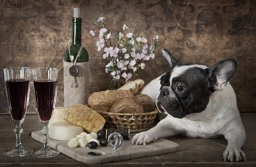 Keuken spatwand met foto Vintage styled photo of French bulldog © Alexey Kuznetsov