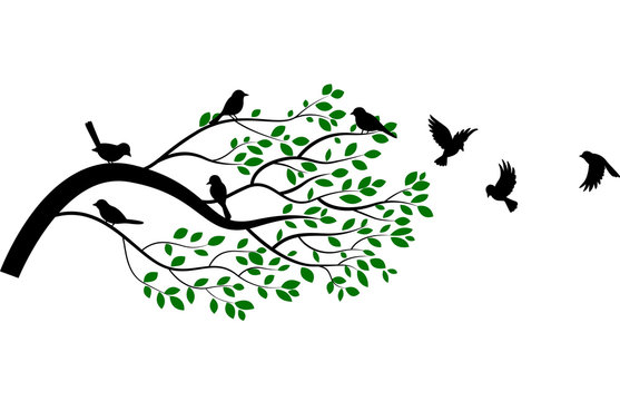 Illustration of tree and bird silhouette