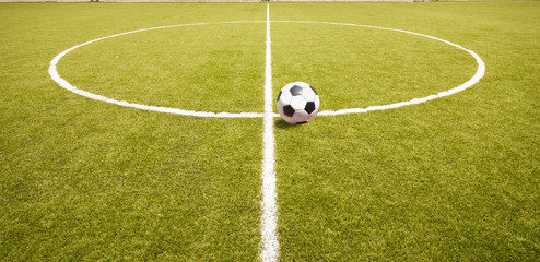 Fototapeta premium The football field