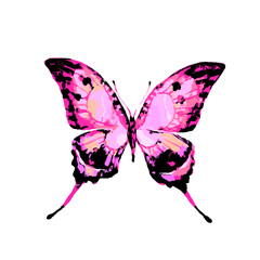butterflies design