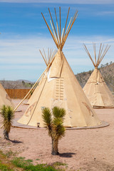 National wigwam of American Indians