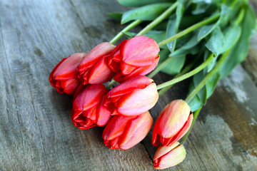 tulips