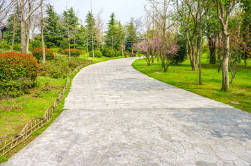 The pavement way in a garden