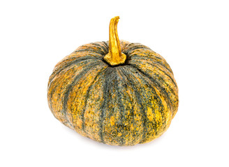 Fresh pumpkin isolated on white background