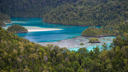 Fototapeta premium Secret Beach in the jungle