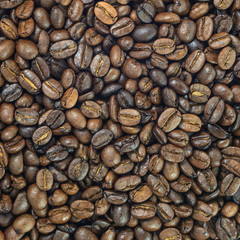 roasted coffee beans