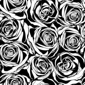 Vector seamless pattern with black roses flowers.