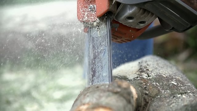 Cutting timber log with chainsaw close up slow motion