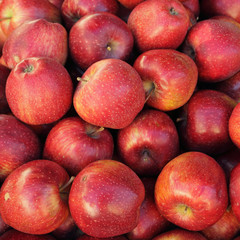 Fototapeta na wymiar red apples as background