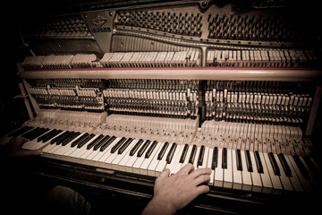 Close-up of hand playing the piano © Telekhovskyi