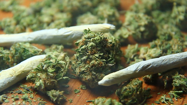 Cannabis and Smoke 2