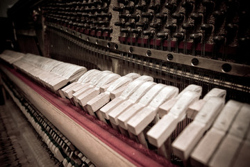 hammers of a Steinway grand piano forming a chord