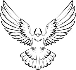 Dove birds logo for peace concept and wedding design