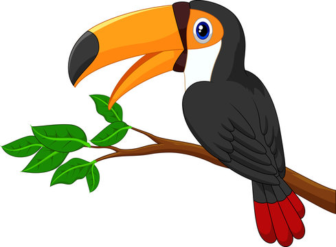 Cartoon toucan bird on a tree branch
