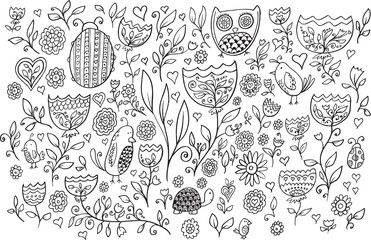 Flower Bird Doodle Vector Illustration Set