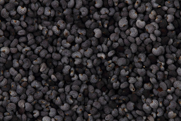 natural poppy seeds background