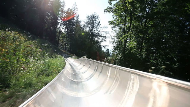 extreme sport activity with bobsled in the pure nature on a sunny day 