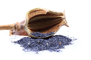 natural poppy head with seeds