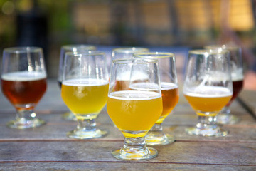 Glasses of Craft Beer for Tasting