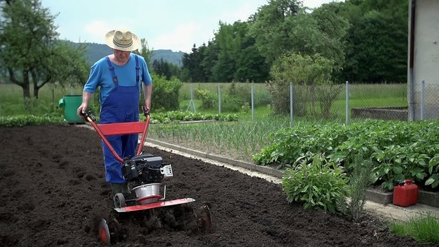 Farmer with a big hat plows the field with the cultivator 
