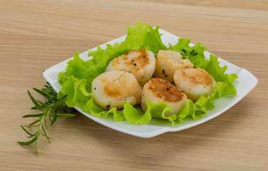 Grilled scallops