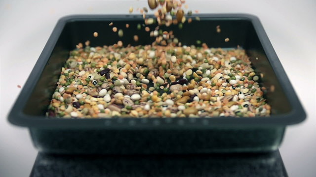 Seeds falling into black squre plate in slow motion
