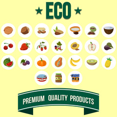 Vector Fruit Icon Set