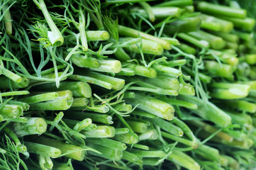 green dill