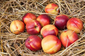 peaches on straw.