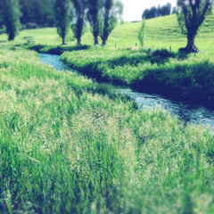 Obraz premium Valley stream