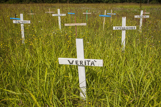 Field with crosses