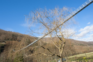 Suspension bridge
