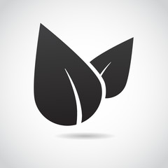 Leaf vector icon.