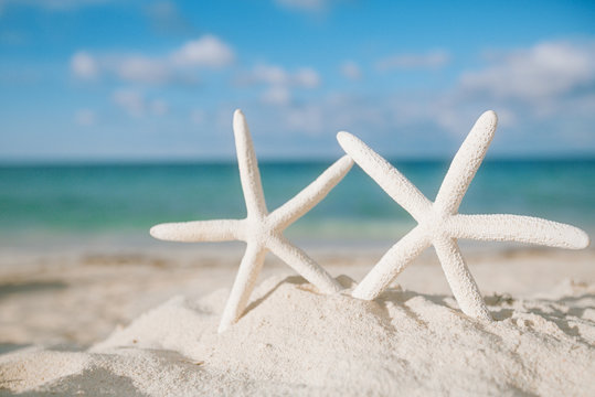 white starfish on white sand beach, with ocean sky and seascape