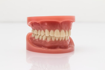 Set of artificial false teeth