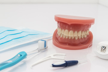 Set of false teeth with cleaning tools