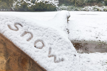 Word snow written on lying oak tree trunk in nature