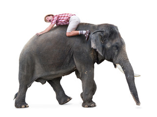 terrified tourist lying on a walking elephant