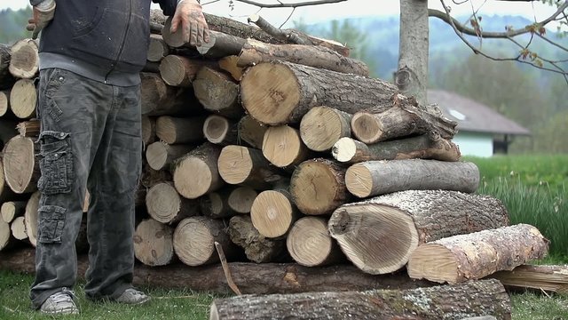 Timberjack person proud of stacked logs