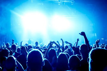 cheering crowd at concert