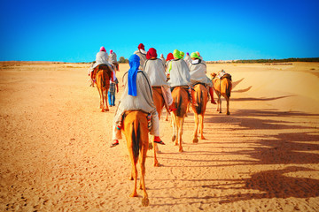 Tourists on camel