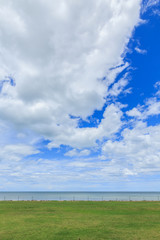 Green grass sea nature background  clouds and  sky