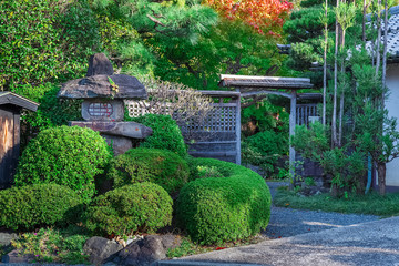 japanese garden