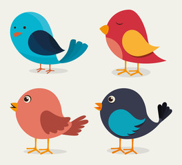 Bird design, vector illustration.