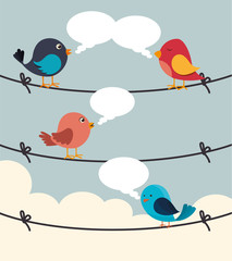 Bird design, vector illustration.