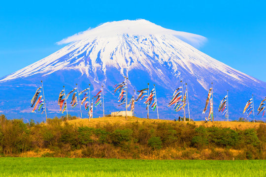 Colorful carp banners and Mount Fuji