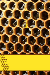 Honeycomb background