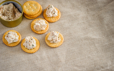 Cracker with tuna spread